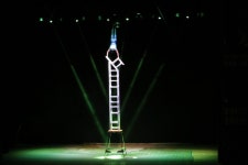 공연갤러리>영광문화예술의전당>안전생활>영광군청 동춘서커스 초인의 비상