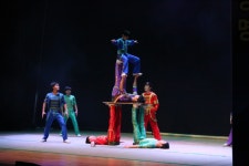 공연갤러리>영광문화예술의전당>안전생활>영광군청 동춘서커스 초인의 비상