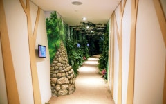 人參博物館 인삼박물관, 인삼, 영주시청, 영주, 시청, yeongju, insam museum