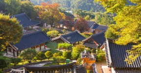 영주시 영주문화관광 영주시 영주문화관광, 영주시청,영주시 , 영주, 시청, yeongju