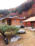 영주시 인터넷뉴스 영주시 인터넷뉴스, 인터넷뉴스, 영주시청, 영주, 시청, yeongju