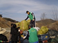 영주시 인터넷뉴스 영주시 인터넷뉴스, 인터넷뉴스, 영주시청, 영주, 시청, yeongju