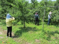 영주시 인터넷뉴스 영주시 인터넷뉴스, 인터넷뉴스, 영주시청, 영주, 시청, yeongju