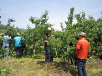 영주시 인터넷뉴스 영주시 인터넷뉴스, 인터넷뉴스, 영주시청, 영주, 시청, yeongju