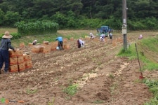 영주시 인터넷뉴스 영주시 인터넷뉴스, 인터넷뉴스, 영주시청, 영주, 시청, yeongju