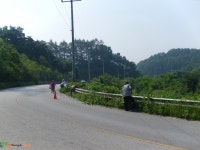영주시 인터넷뉴스 영주시 인터넷뉴스, 인터넷뉴스, 영주시청, 영주, 시청, yeongju