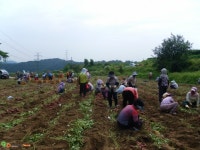 영주시 인터넷뉴스 영주시 인터넷뉴스, 인터넷뉴스, 영주시청, 영주, 시청, yeongju