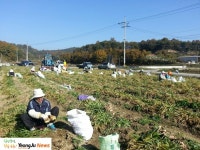 영주시 인터넷뉴스 영주시 인터넷뉴스, 인터넷뉴스, 영주시청, 영주, 시청, yeongju