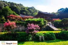 영주시 인터넷뉴스 영주시 인터넷뉴스, 인터넷뉴스, 영주시청, 영주, 시청, yeongju