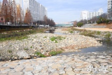 대구 달성군 천내천-진천천-기세곡천 한국수자원공사 `물장사`로 생태하천 역할 못해