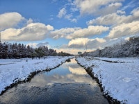 승기천 사진 공모전 수상작 | 참여·알림 공모전 수상작 전시 | 연수구청