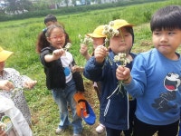 2014. 상반기 학습자원활동(생태환경) 상세보기