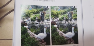 다른 연수를 찾아라! 도전 상세보기 | 참여·알림 | 연수구청
