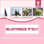 개화 전 방제 약제 - 농업기술센터 개화 전 방제 약제