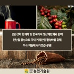 한국커피협회사 | K-커피 산업 발전 '한국커피 생산자협회' 창립 - 농업기술센터 K-커피 산업 발전 '한국커피 생산자협회' 창립