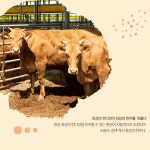 미래로 가는 전남농업 - 스마트팜 축산농장 환이팜 - 농업기술센터 미래로 가는 전남농업 - 스마트팜 축산농장 환이팜