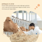 미래로 가는 전남농업 - 스마트팜 축산농장 환이팜 - 농업기술센터 미래로 가는 전남농업 - 스마트팜 축산농장 환이팜