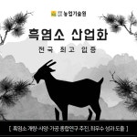 흑염소 산업화 전국 최고 입증 - 농업기술센터 흑염소 산업화 전국 최고 입증
