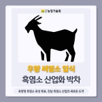 우량 씨염소 입식 흑염소 산업화 박차 - 농업기술센터 우량 씨염소 입식 흑염소 산업화 박차