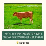 마을단위 축산악취 개선 선도 모델 제시 - 농업기술센터 마을단위 축산악취 개선 선도 모델 제시
