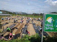 여수시농업기술센터, 도시민 체험농장 운영 - 농업기술센터 여수시농업기술센터, 도시민 체험농장 운영