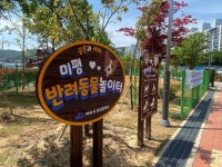 여수시, 미평공원 반려견 놀이터 운영 재개 - 농업기술센터 여수시, 미평공원 반려견 놀이터 운영 재개