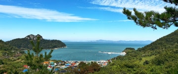 여수관광문화 > 관광명소 > 섬여행 > 손죽도 손죽도