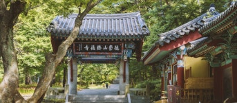 봄 < 계절별여행 < 추천테마여행 < 예산군 문화관광(관광통합플랫폼)  봄 > 계절별여행 > 추천테마여행 >