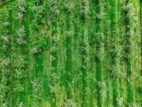 체험/교육 < 축제/체험 < 예산군 문화관광  체험/교육 > 축제/체험 >