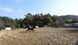 오케이목장 < 휴양/레저 < 관광명소 < 예산군 문화관광  오케이목장 > 휴양/레저 > 관광명소 >