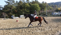 오케이목장 < 휴양/레저 < 관광명소 < 예산군 문화관광  오케이목장 > 휴양/레저 > 관광명소 >