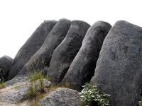 수암산 < 예산의 명산 < 관광명소 < 예산군 문화관광(관광통합플랫폼)  수암산 > 예산의 명산 > 관광명소 >