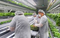 대학생활>뉴스플러스>NEWS+ | 연암대학교