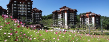 모나용평:아폴리스