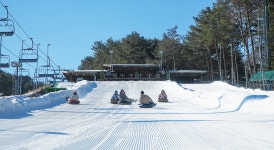 YONG PYONG 용평리조트:레저/식음