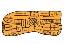 YONG PYONG 용평리조트:용평 워터파크