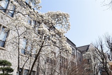 연세공감 | 연세소식