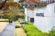 연세대학교 | 홍보 아카이브 | 사진 사진