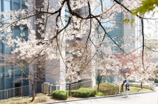 연세대학교 | 홍보 아카이브 | 사진 사진