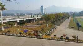 공지사항 - 강상면