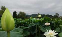 일반포토 - 양평 물소리길