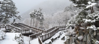 공원소개 - 쉬자파크