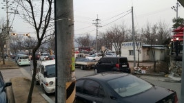 양평군 > 참여마당 > 자유게시판