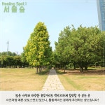 유한킴벌리>모든 게 숲으로 돌아갔어? 숲으로 힐링!>SNS>뉴스 모든 게 숲으로 돌아갔어? 숲으로 힐링!