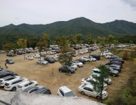 유한킴벌리>카페 안의 작은 숲, 플랜테리어 카페 - 비루개, 벌스가든>SNS>뉴스 카페 안의 작은 숲, 플랜테리어 카페 - 비루개, 벌스가든