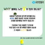 유한킴벌리>생명의 숲 남산! 들어보셨나요?>SNS>뉴스 생명의 숲 남산! 들어보셨나요?