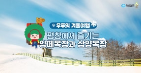유한킴벌리>우푸의 겨울여행 : 강원도 평창에서 즐기는 양떼목장과 삼양목장>SNS>뉴스 우푸의 겨울여행 : 강원도 평창에서 즐기는 양떼목장과... 