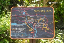 나에게 맑은 공기를 선물하는 시간! 가평 잣향기 푸른숲>SNS>뉴스 [FOR_REST] 지친 나에게 맑은 공기를 선물하는 시간! 가평 잣향기 푸른숲