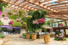 보랏빛 라벤더가 선사하는 동화 속 풍경, 연천 허브빌리지>SNS>뉴스 [FOR_REST] 보랏빛 라벤더가 선사하는 동화 속 풍경, 연천 허브빌리지