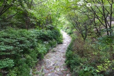 가득한 도심 속 사색의 공간, 서대문 안산 자락길>SNS>뉴스 [우리동네 숲세권] 여유로움이 가득한 도심 속 사색의 공간, 서대문 안산 자락길